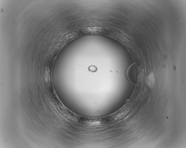 X0000052550651200507221452