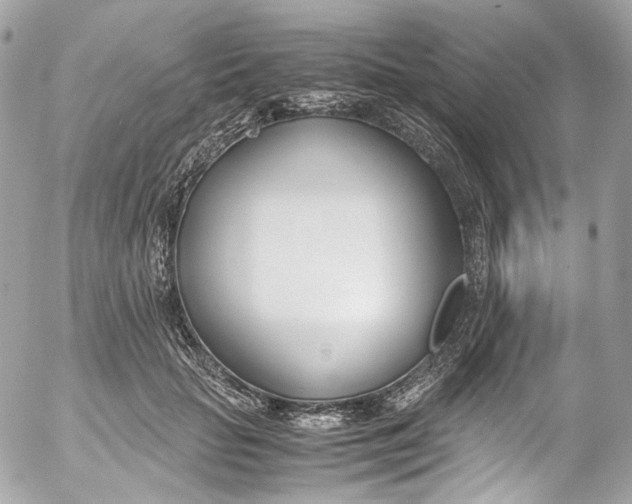 X0000052550653200507221452