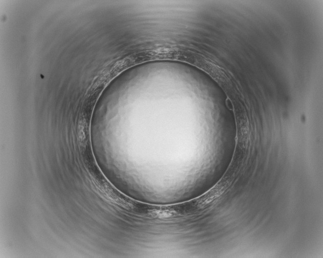 X0000052550654200507221452