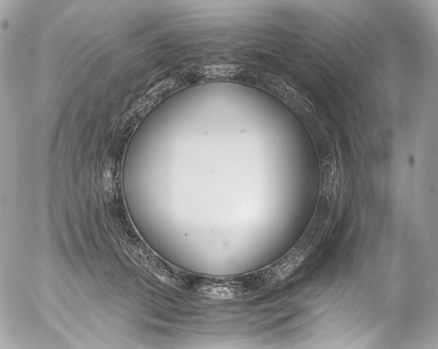 X0000052550655200507221452