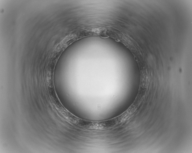 X0000052550656200507221452