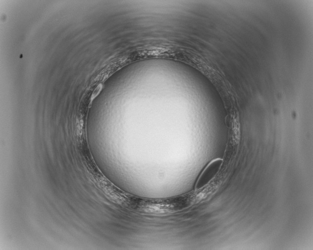 X0000052550657200507221452