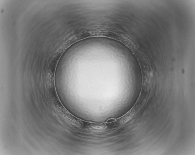 X0000052550659200507221452