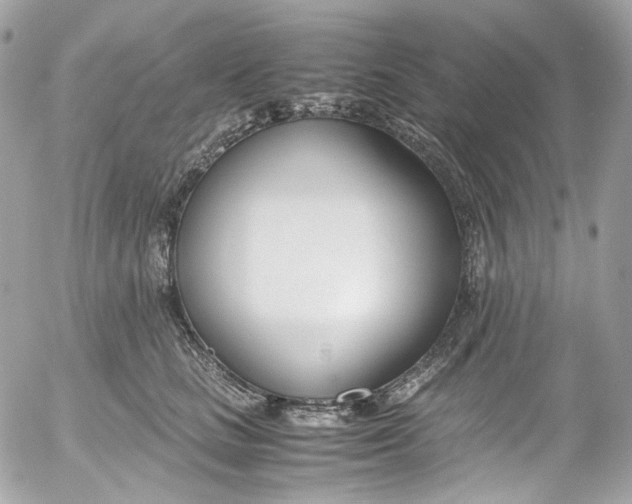 X0000052550661200507221452