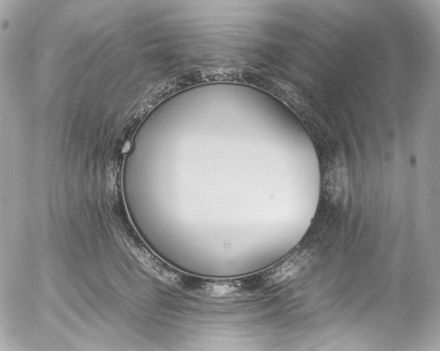 X0000052550662200507221452