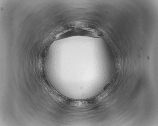 X0000052550663200507221452