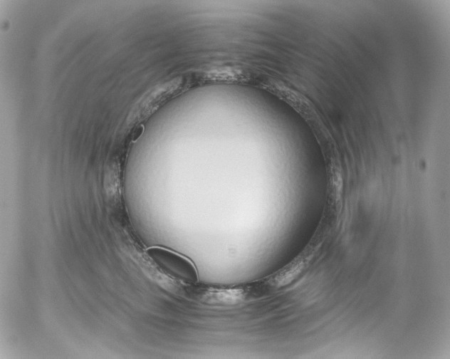 X0000052550665200507221452