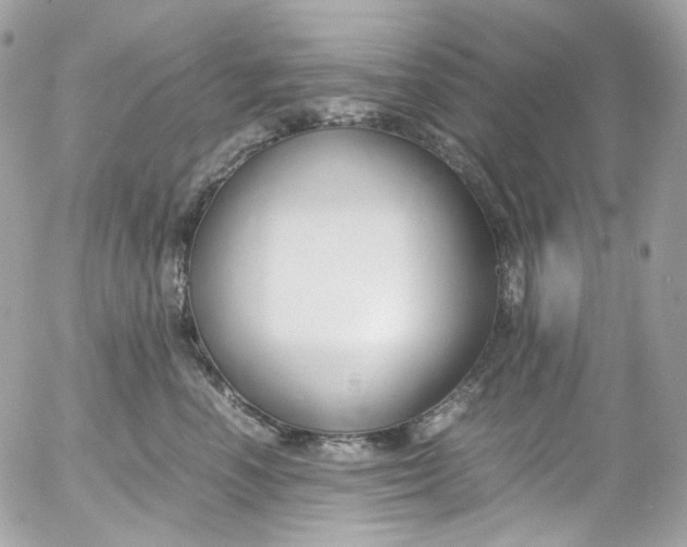 X0000052550666200507221452