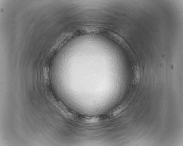 X0000052550667200507221452