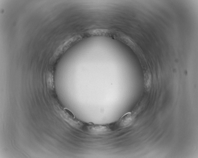 X0000052550669200507221452