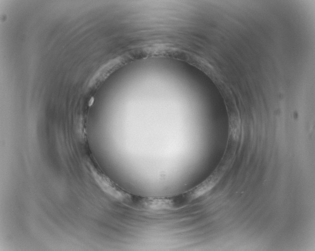 X0000052550670200507221452