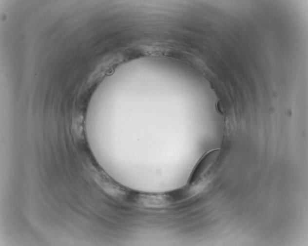 X0000052550671200507221452