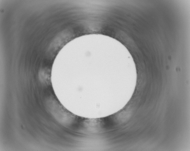 X0000052550672200507221452