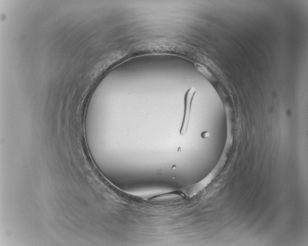 X0000052550673200507221451