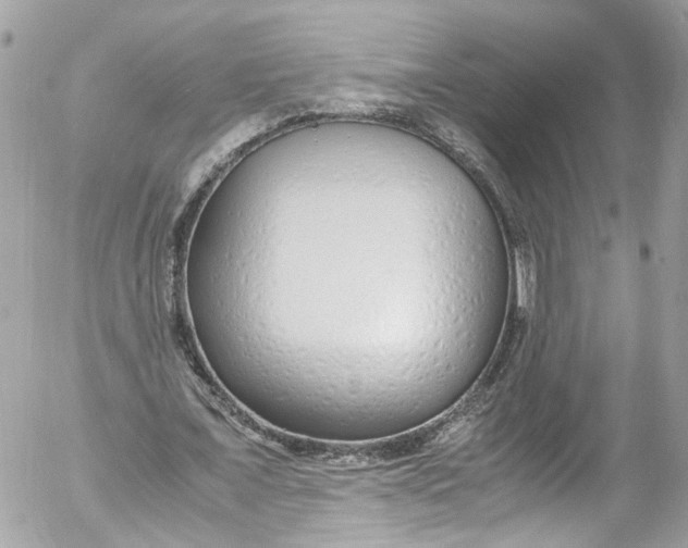 X0000052550675200507221451