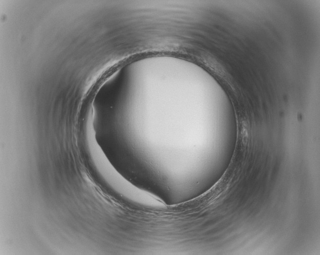 X0000052550676200507221451