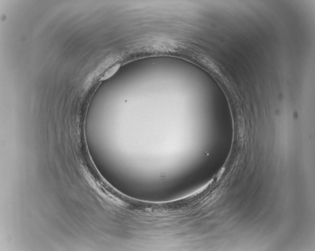 X0000052550677200507221451