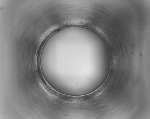 X0000052550678200507221451