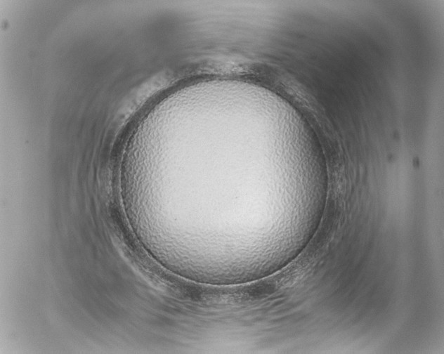 X0000052550679200507221451