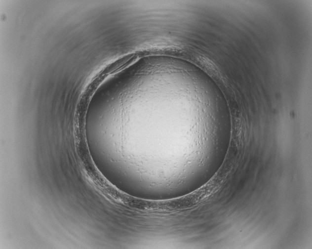 X0000052550680200507221451