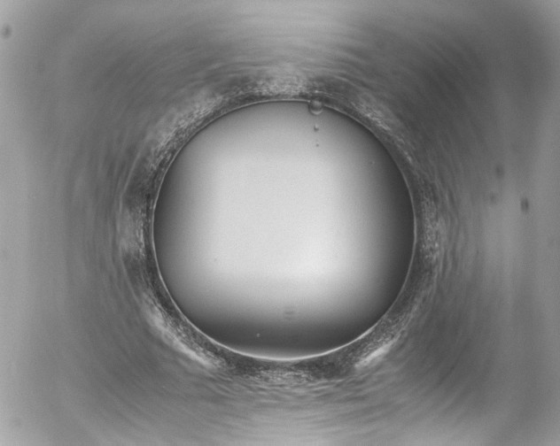 X0000052550681200507221451