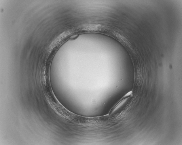 X0000052550682200507221451