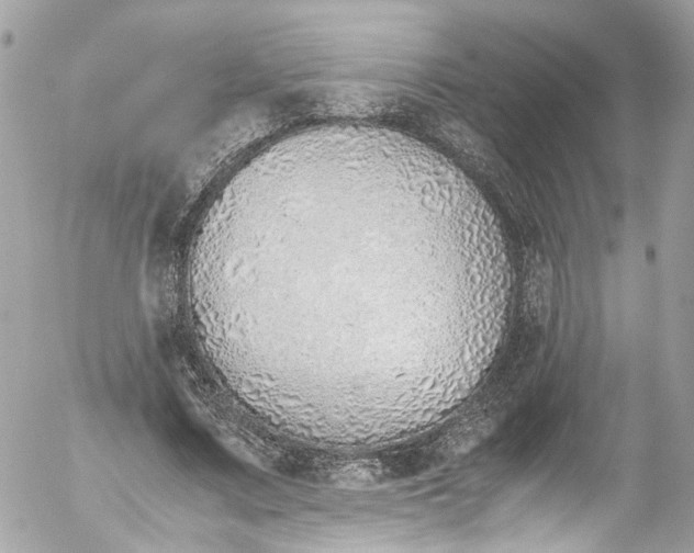 X0000052550683200507221451