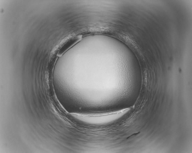 X0000052550684200507221451