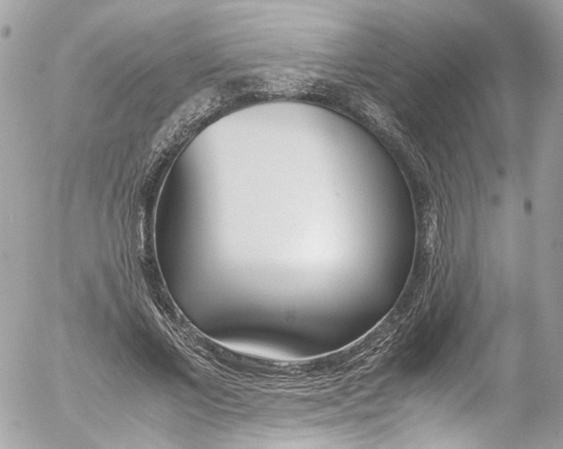 X0000052550685200507221451