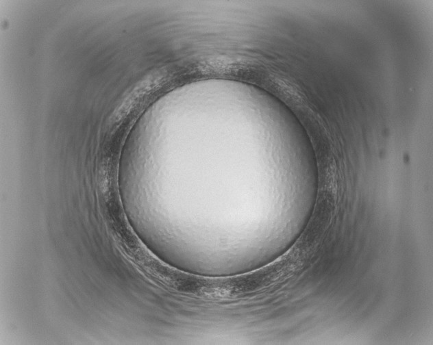 X0000052550687200507221451