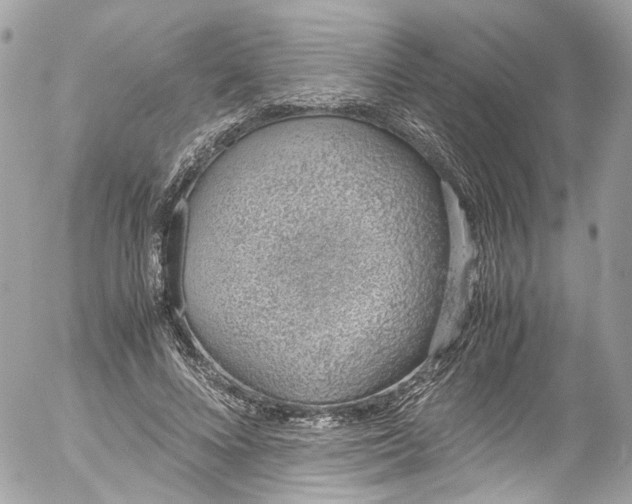 X0000052550688200507221451