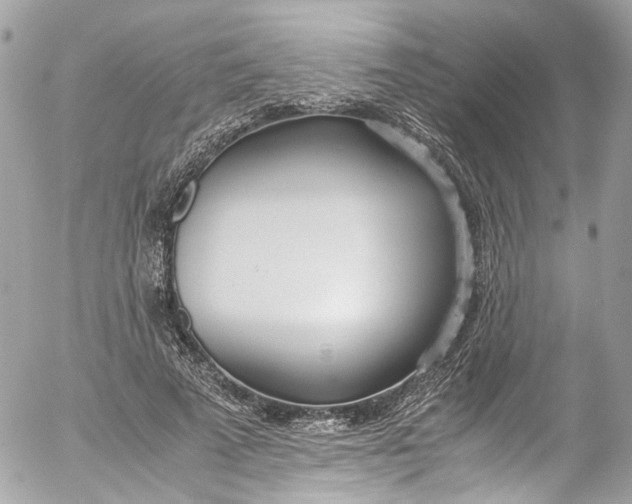 X0000052550689200507221451