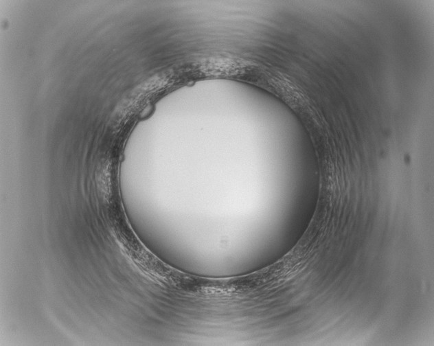 X0000052550690200507221451