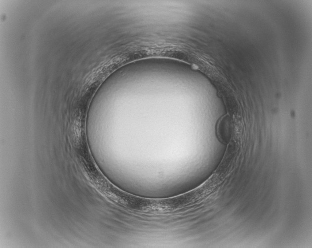 X0000052550691200507221451