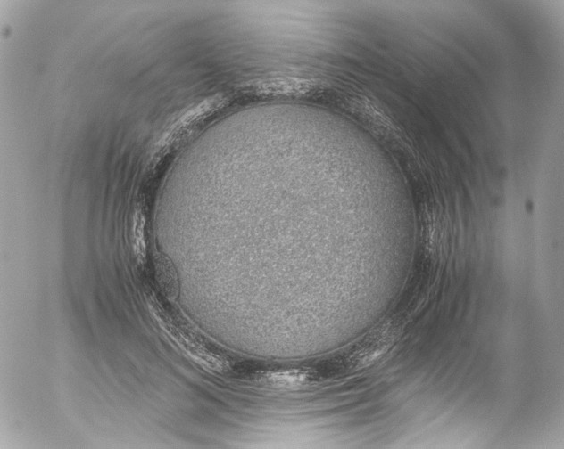 X0000052550692200507221451