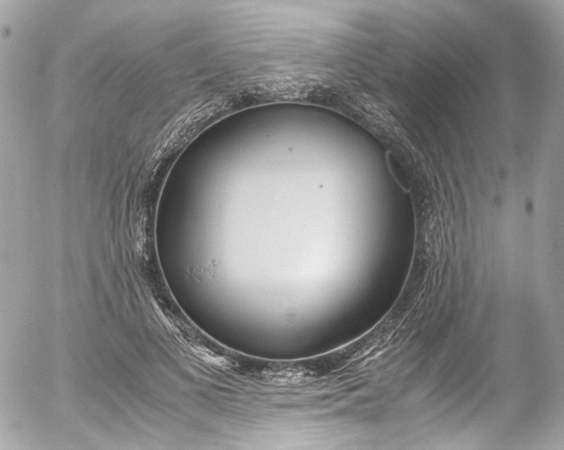 X0000052550693200507221451