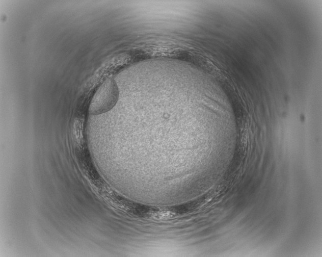 X0000052550695200507221451