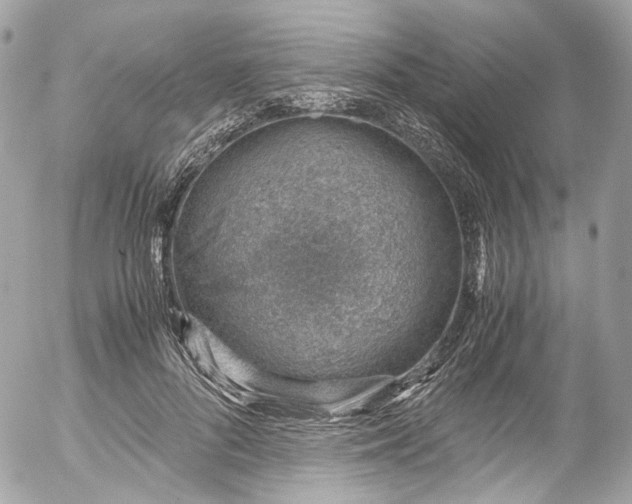 X0000052550696200507221451