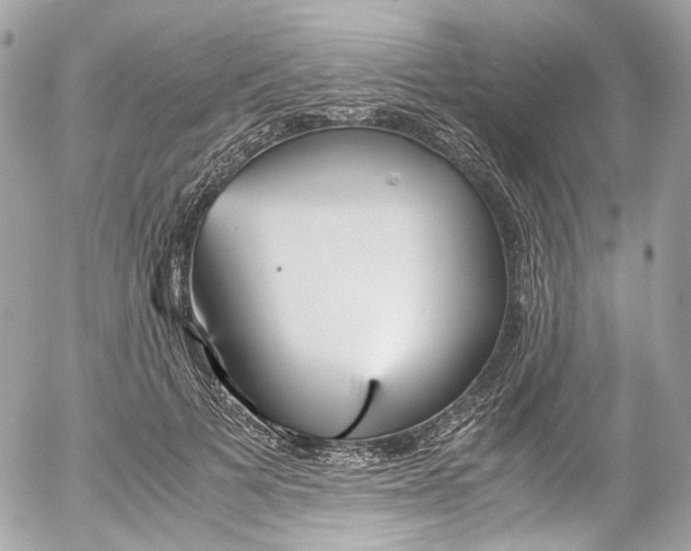 X0000052550697200507221451