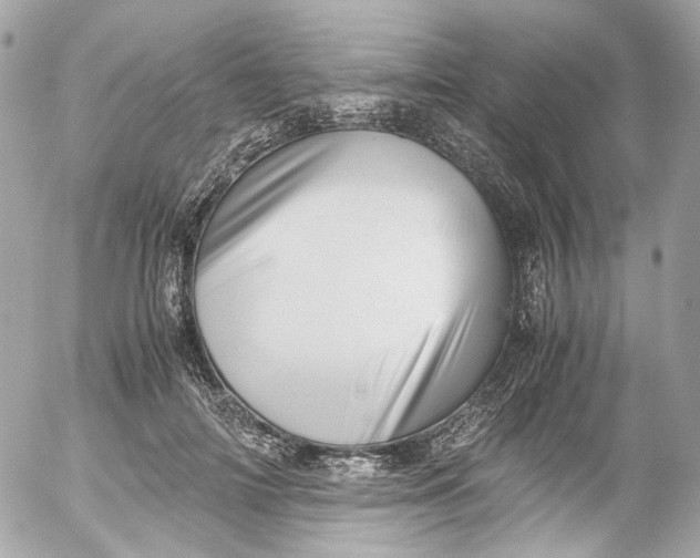 X0000052550698200507221451