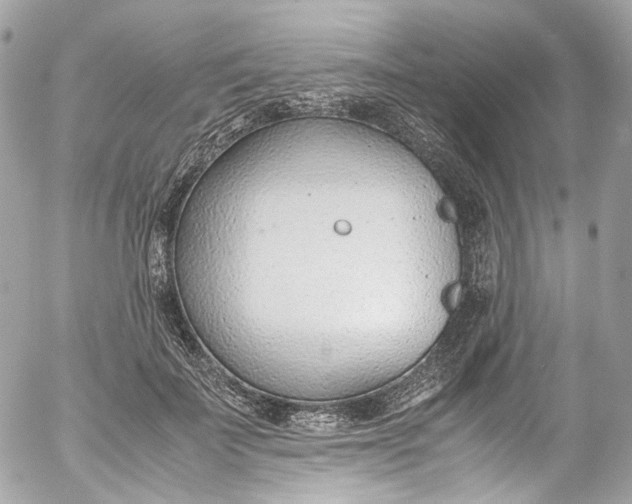 X0000052550699200507221451