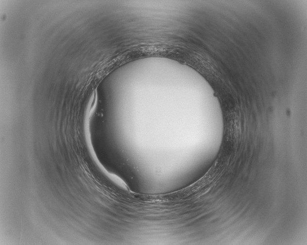 X0000052550700200507221451