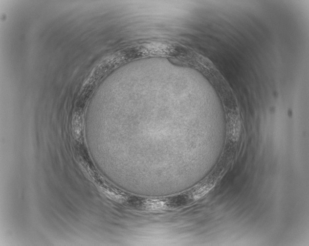 X0000052550701200507221451