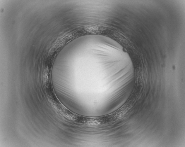 X0000052550702200507221451