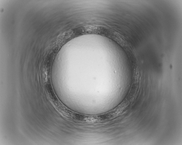 X0000052550703200507221451