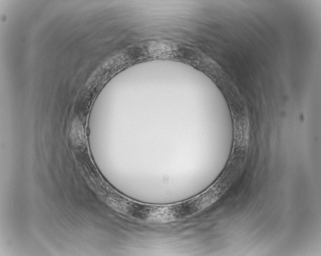 X0000052550705200507221451