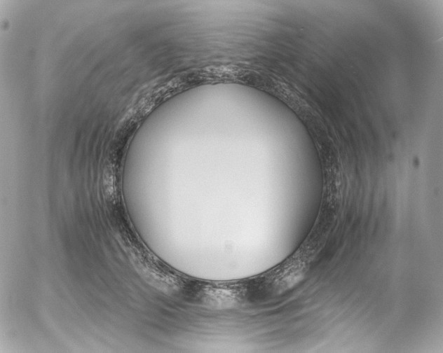 X0000052550706200507221451