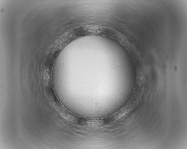 X0000052550707200507221451