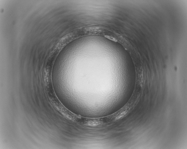 X0000052550708200507221451