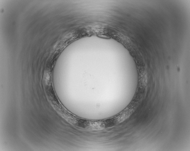 X0000052550709200507221451